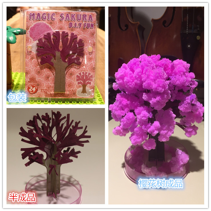 กระดาษปลูกต้นไม้มหัศจรรย์ขนาด1 - Kids Education Learn Tv บทวิจารณ์และราคา
