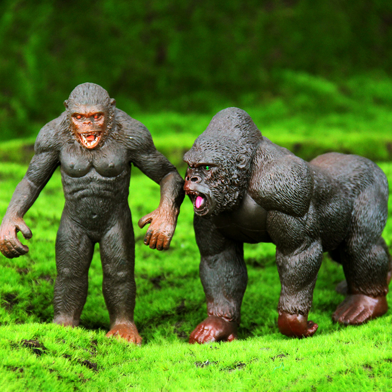 จำลองสัตว์ลิงชิมแปนซี Gorilla  - Kids Education Learn Tv บทวิจารณ์และราคา