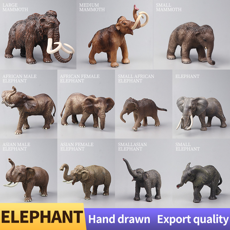สัตว์ป่าแอฟริกัน ช้างมามมอธขนา - Kids Education Movies บทวิจารณ์และราคา